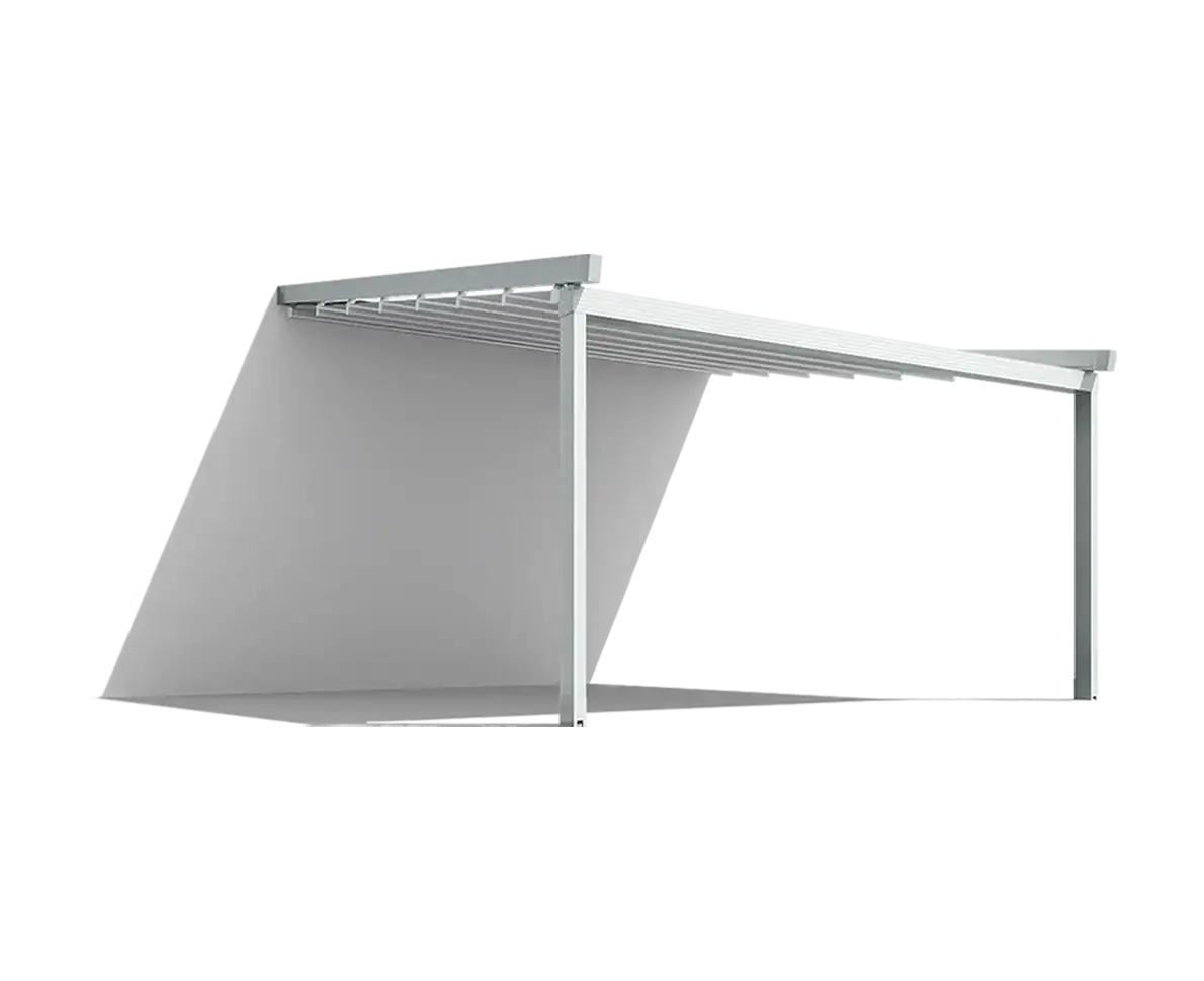 Framekleur inox metallic