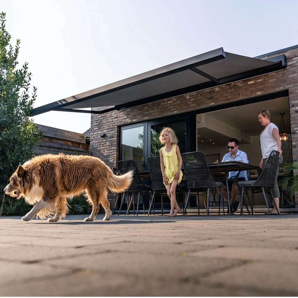 BX270 knikarmscherm boven terras met familie en hond