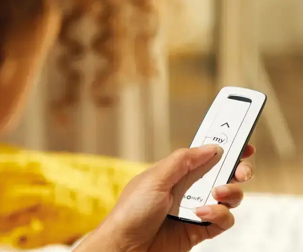 Somfy afstandbediening RAL-kleurenpalet met verschillende kleurcirkels