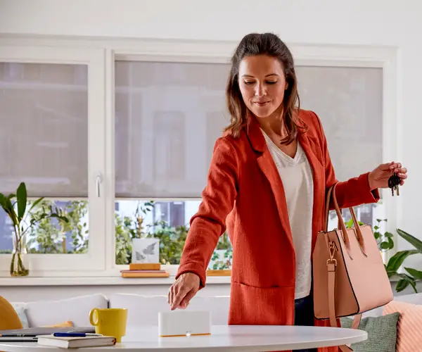 TaHoma Box op tafel TaHoma Box op tafel