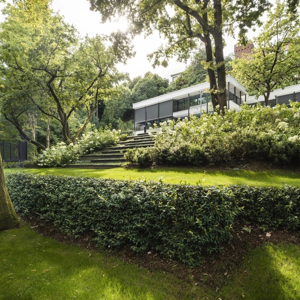 Solar Click Cable zonwering bij woning te midden van bomen