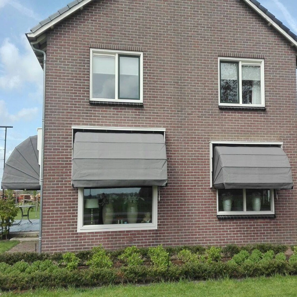 Grijze markiezen aan zijgevel van woning in Donkerbroek Grijze markiezen aan zijgevel van woning in Donkerbroek